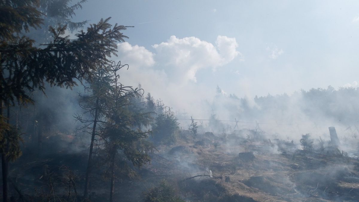 Na Jičínsku hoří les. Policejnímu vrtulníku stěžují práci piloti malých letadel